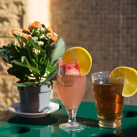 Apartamento El Regreso El Pinar