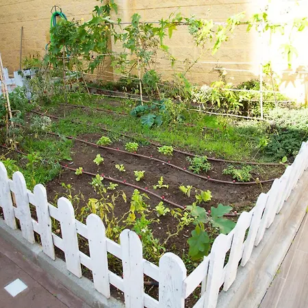 Apartamento El Regreso El Pinar Torremolinos