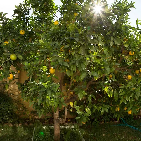 El Regreso El Pinar *