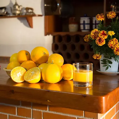 El Regreso El Pinar Apartamento