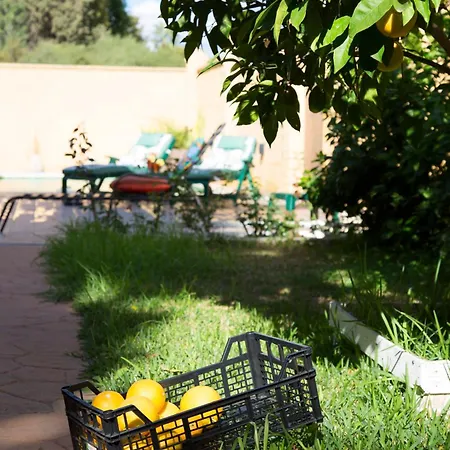 Apartamento El Regreso El Pinar Torremolinos