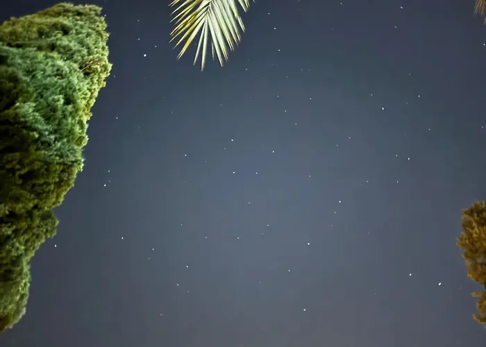 El Regreso El Pinar Апартаменты