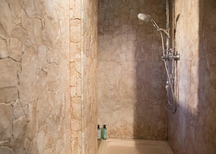 El Regreso El Pinar *